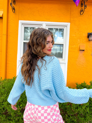 
            
                Load image into Gallery viewer, Ice Blue Cropped Sweater *Extended Sizes
            
        