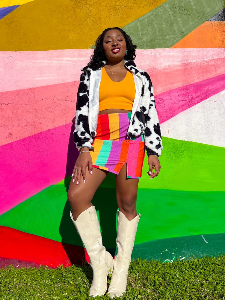 Rainbow Striped Skirt (S-3XL)