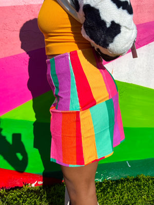 Rainbow Striped Skirt (S-3XL)