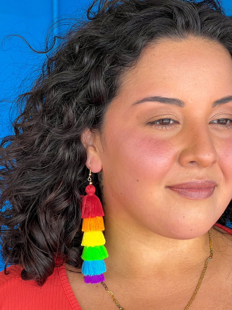 
            
                Load image into Gallery viewer, Rainbow Tassle Earrings
            
        